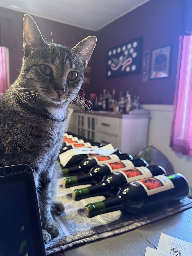 Bella the Label Manager