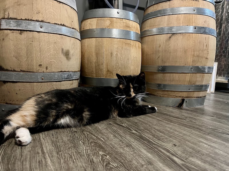 Bella - Label Manager