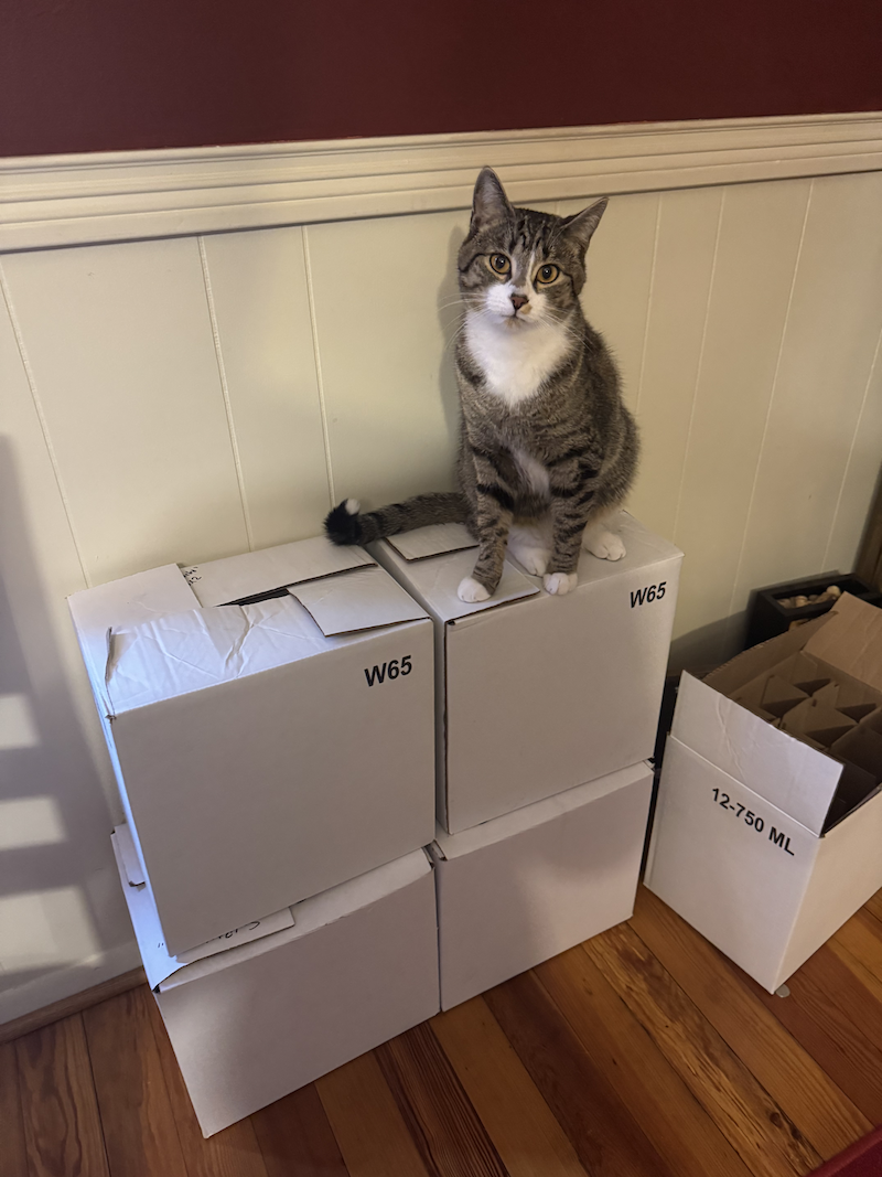 Buffet the Package Manager